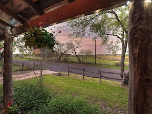 A covered outdoor area with a hanging planter, a wooden fence, and a road in the background.