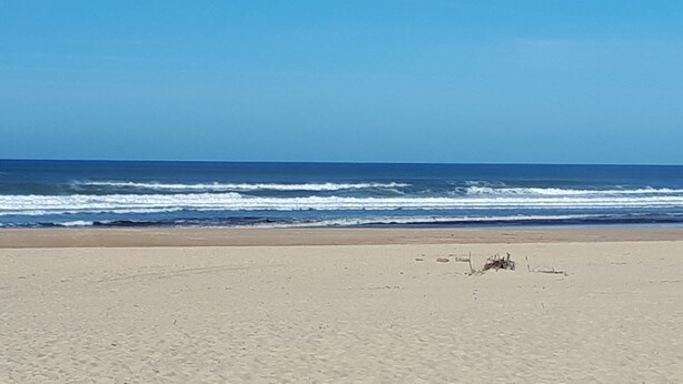Une plage avec un rivage sablonneux et des vagues en arrière-plan.