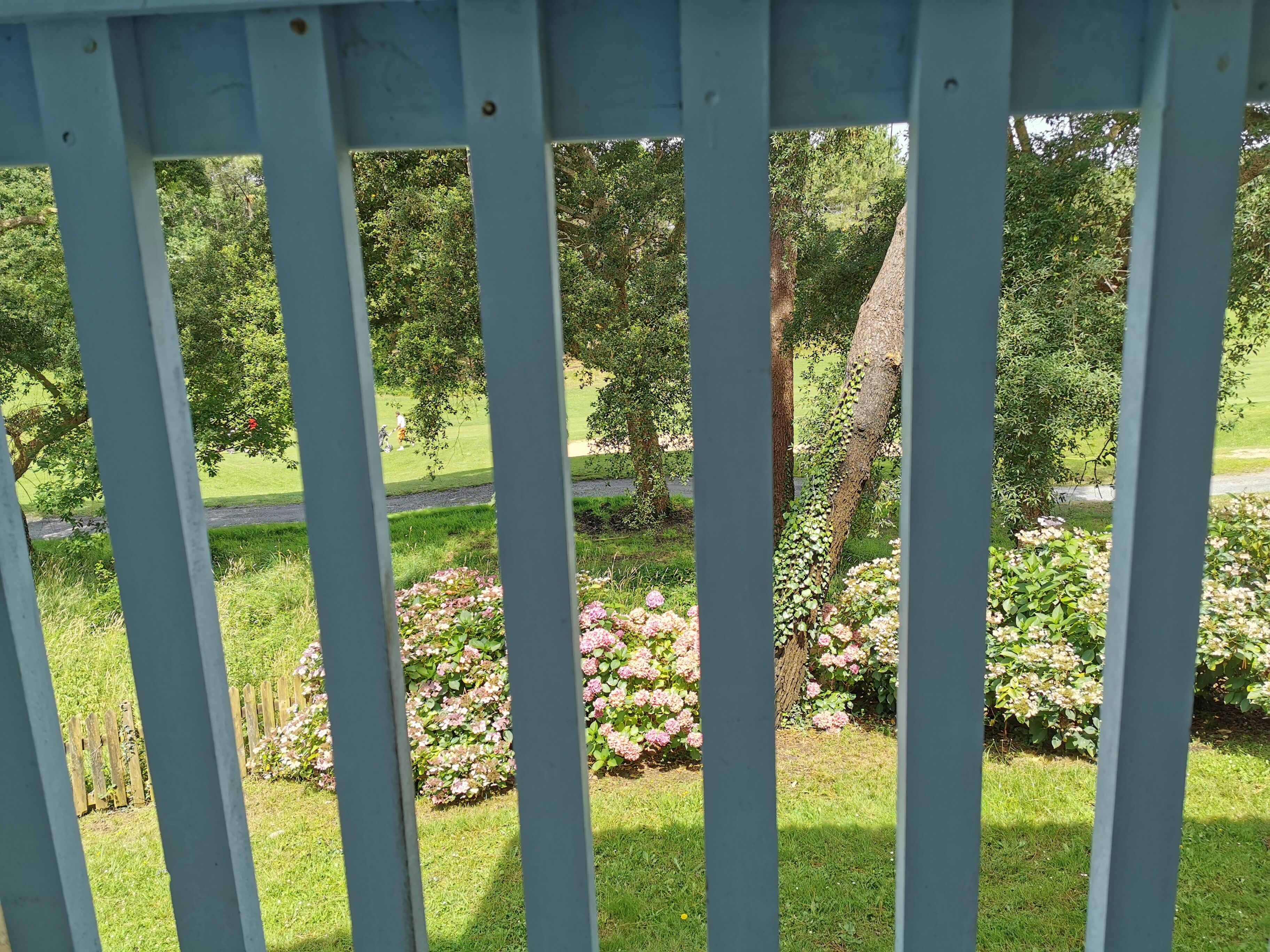 Blick durch einen weißen Zaun auf einen Garten mit Rasen, Bäumen und rosa Blumen.