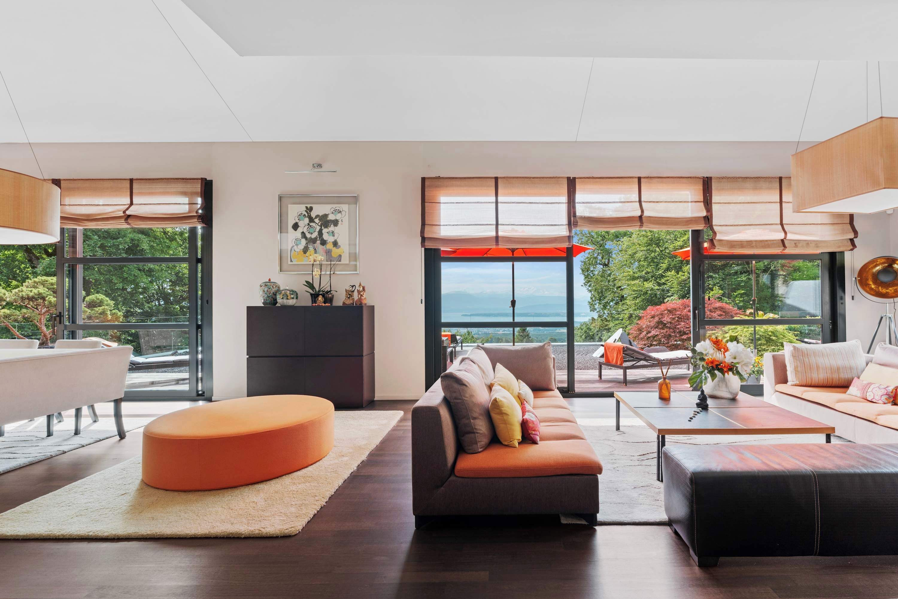 Télévision, cheminée, jeux vidéo, lecteur de DVD