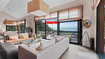 TV, fireplace, video games, DVD player