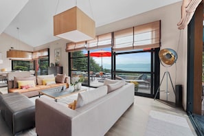 TV, fireplace, video games, DVD player