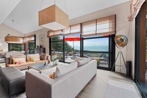TV, fireplace, video games, DVD player