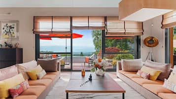 TV, fireplace, video games, DVD player