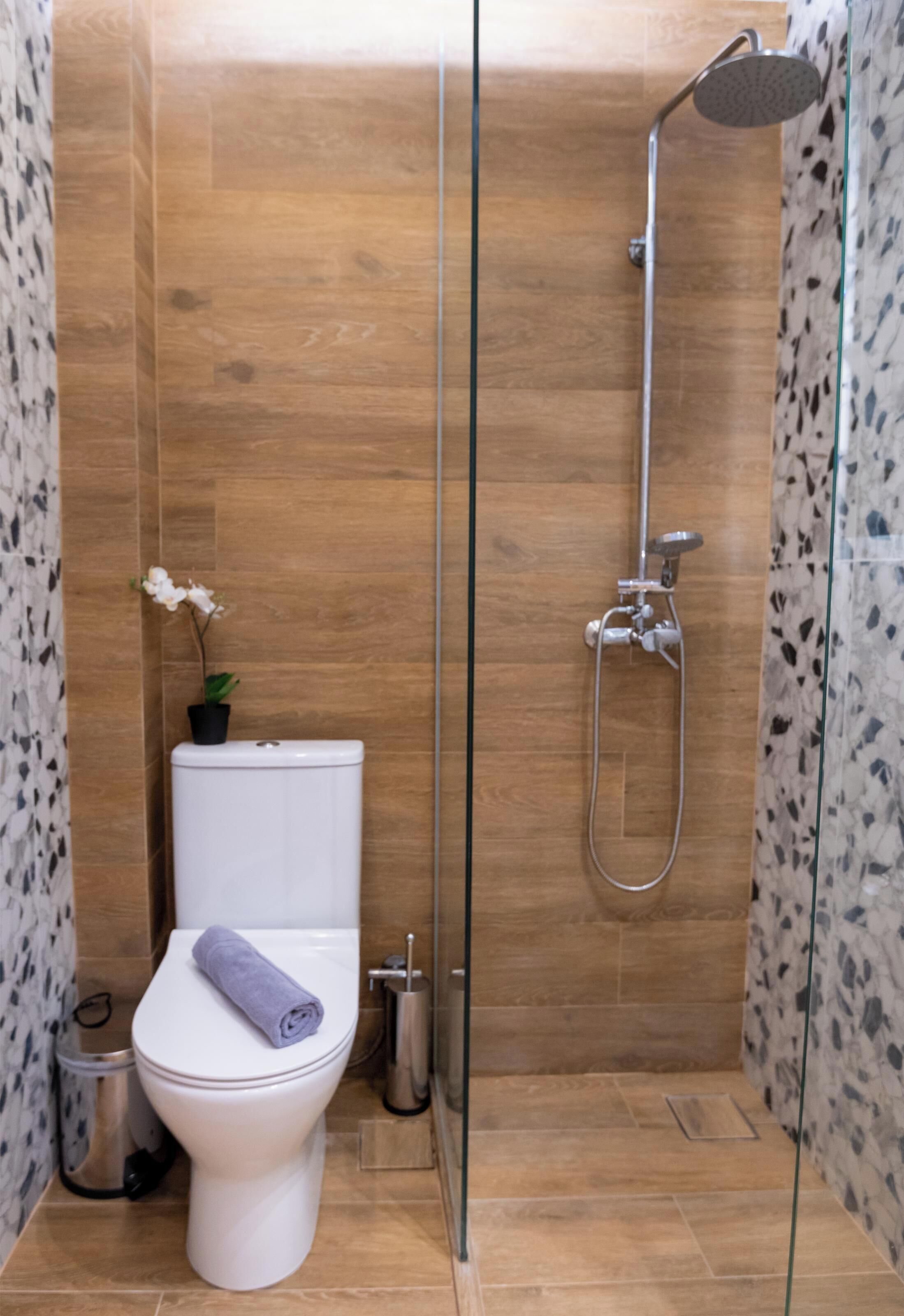 A modern bathroom with a toilet, shower, and a small potted plant.