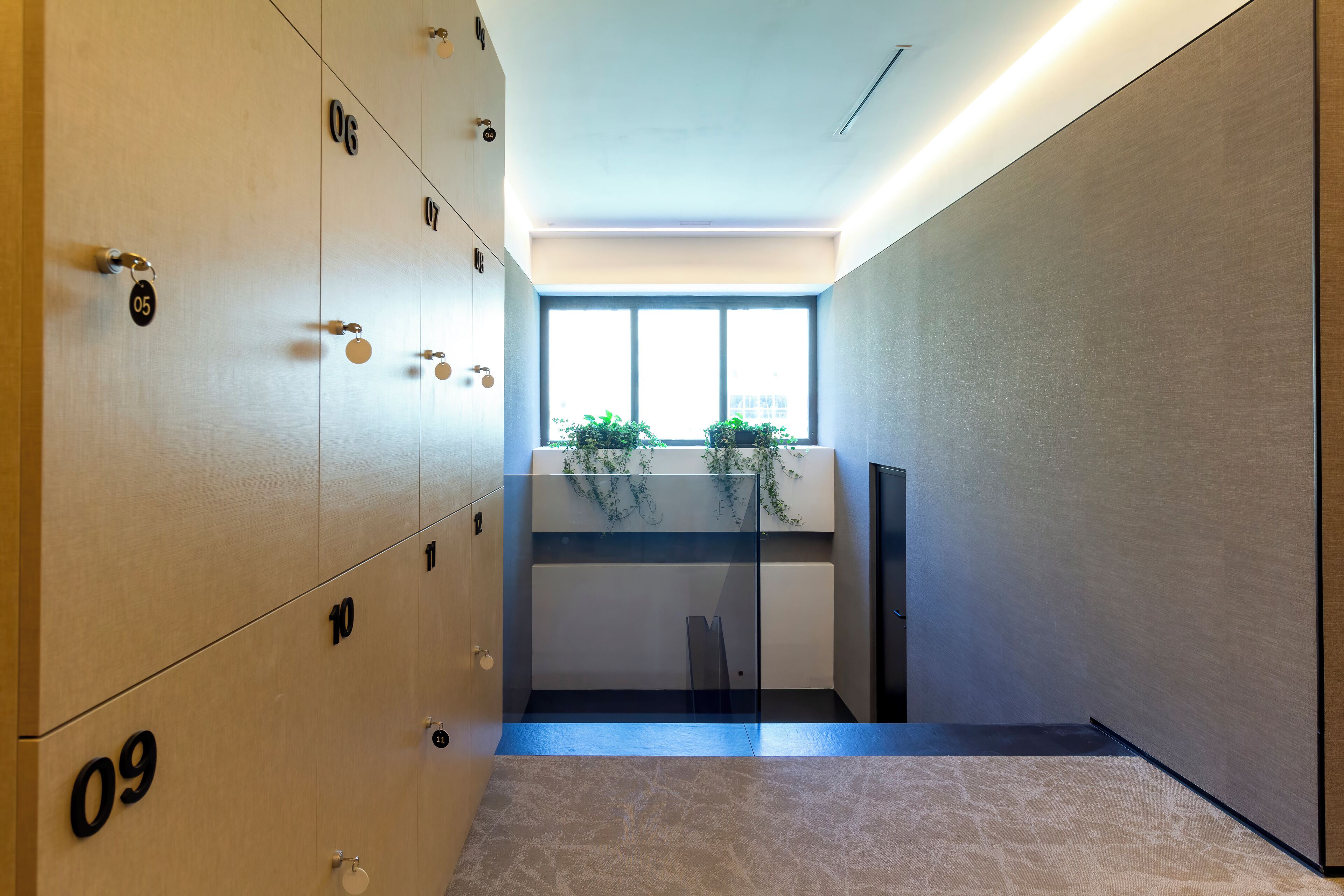 A hallway with numbered lockers, a window with plants, and a patterned floor.
