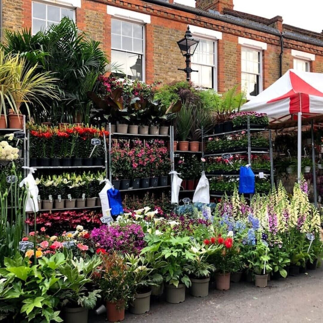 Un mercado de flores con diversas plantas y flores exhibidas en estantes y mesas.
