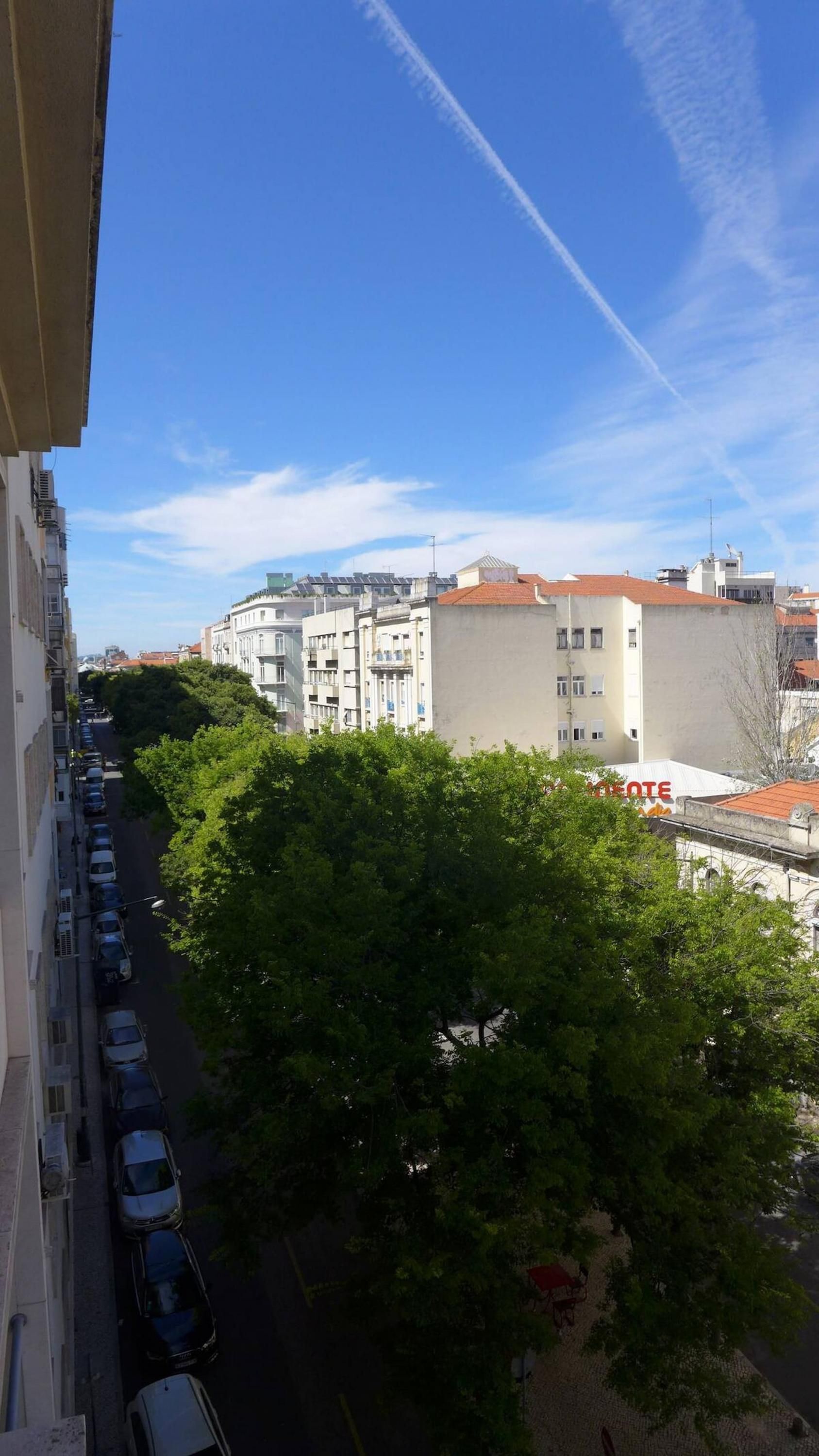 Vista de la calle con coches aparcados, árboles y edificios.