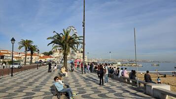 A paved promenade with benches, palm trees, and a view of the sea.