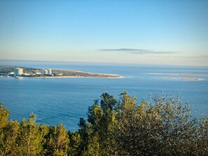 Apartamento | 3 dormitorios