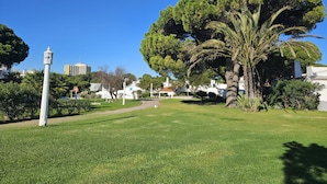 Ein Park mit einem großen Baum, einem weißen Denkmal und einem Weg.