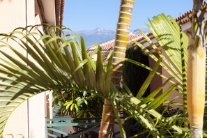 Experience the tranquil atmosphere of our serene courtyard, surrounded by lush greenery and a majestic mountain view.