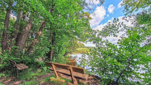 Un banco de madera en una zona boscosa con vista a un río y edificios lejanos.