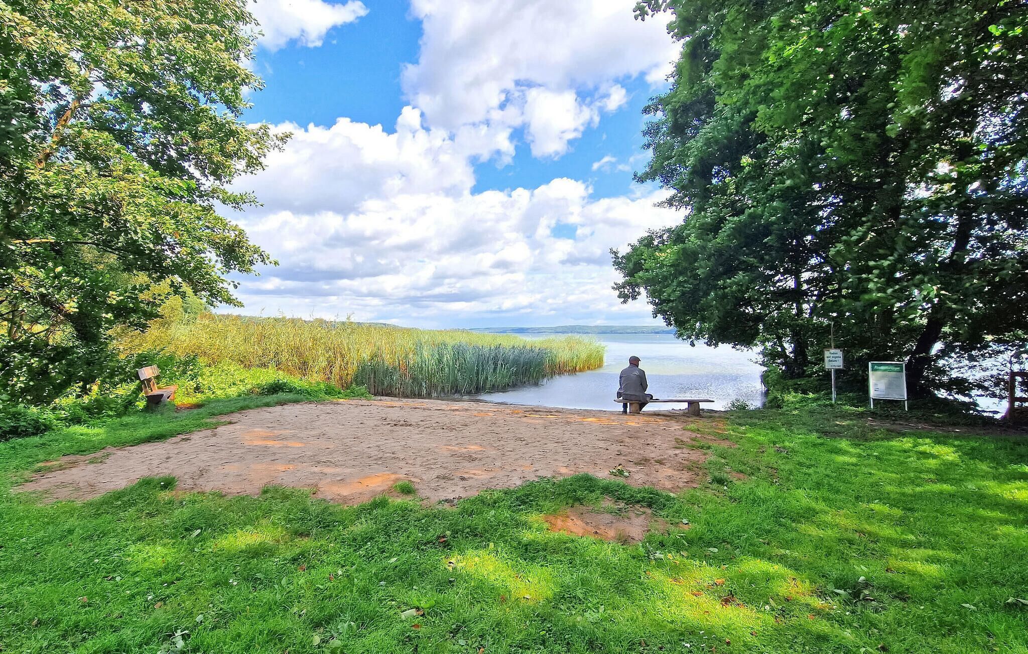 A natural setting with a person sitting on a bench by a lake, surrounded by greenery and trees.