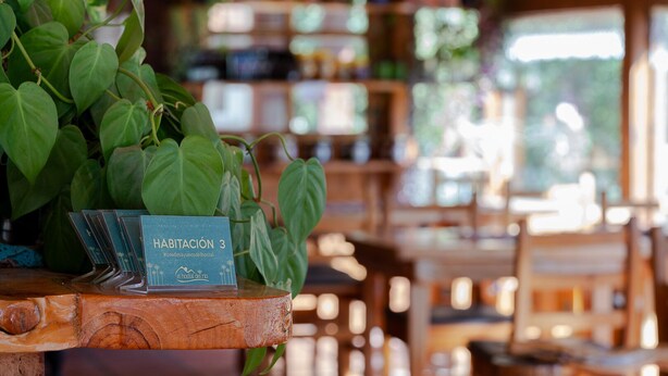 A wooden table with a sign indicating room number 3, surrounded by green plants.