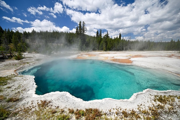 Yellowstone’s geothermal wonders are just 21 miles away from the cabin, a must-see day trip for every guest.