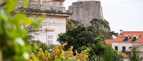 施設からの眺望