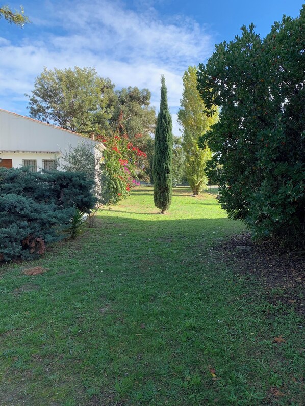 Parco della struttura