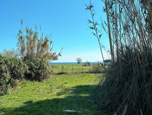 Property grounds - Laoriste Maison Avec Piscine Pieds Dans Leau à Solaro (Solaro)