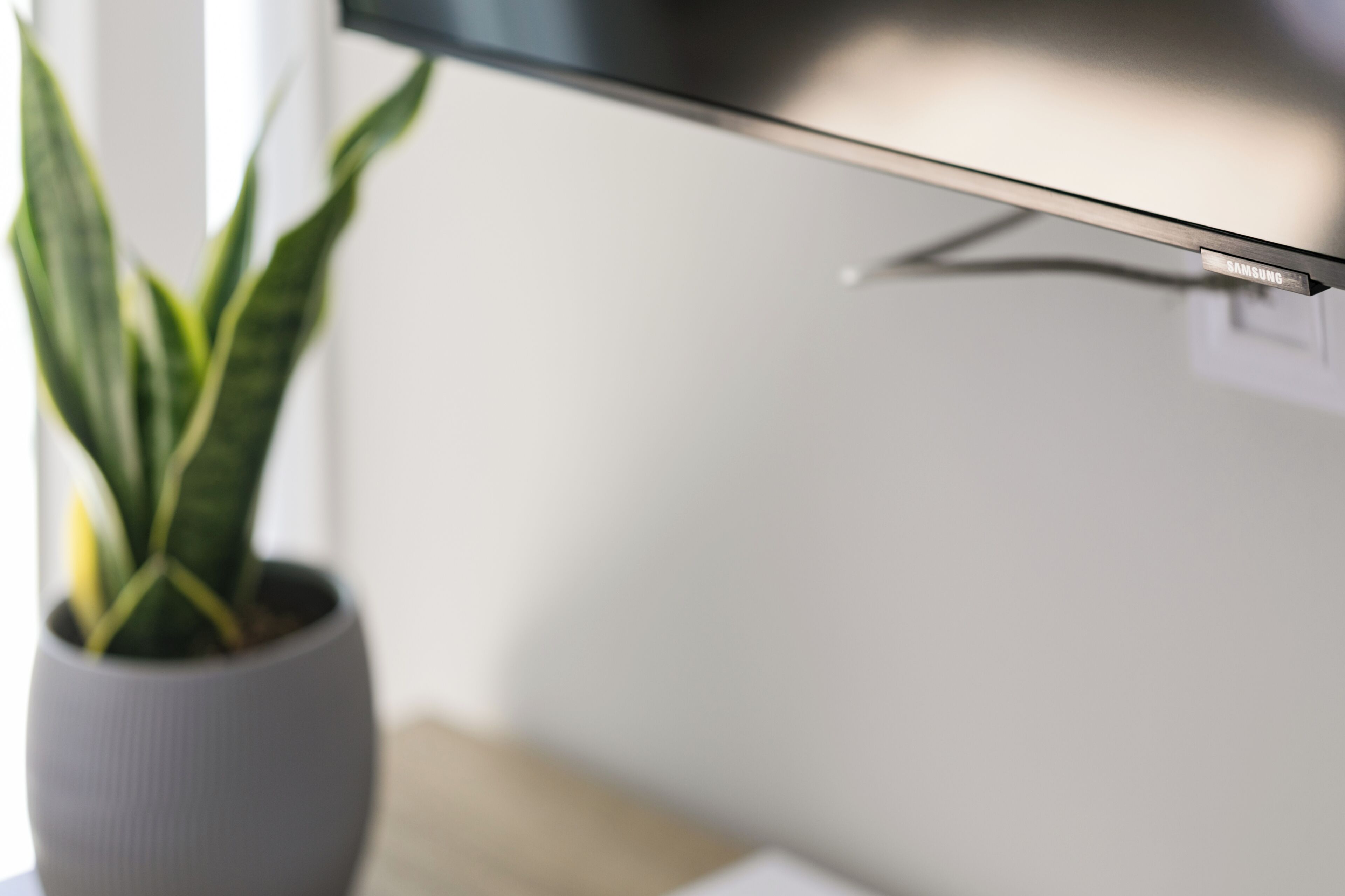 Un televisor de pantalla plana en la pared, una planta en maceta y una pared blanca.