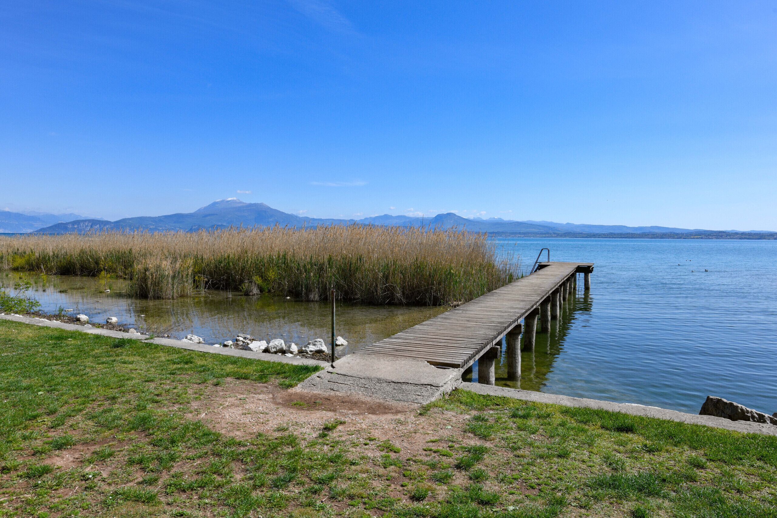 A wooden pier extending into a calm lake, surrounded by grassy areas and reeds.