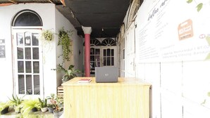 Balcão de recepção de madeira com um laptop, rodeado por plantas em vasos.