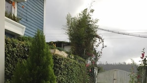 花園