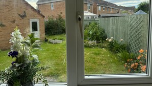 Udsigt gennem et vindue af et boligområde med murstenshuse, et træhegn og en have med forskellige planter og blomster.