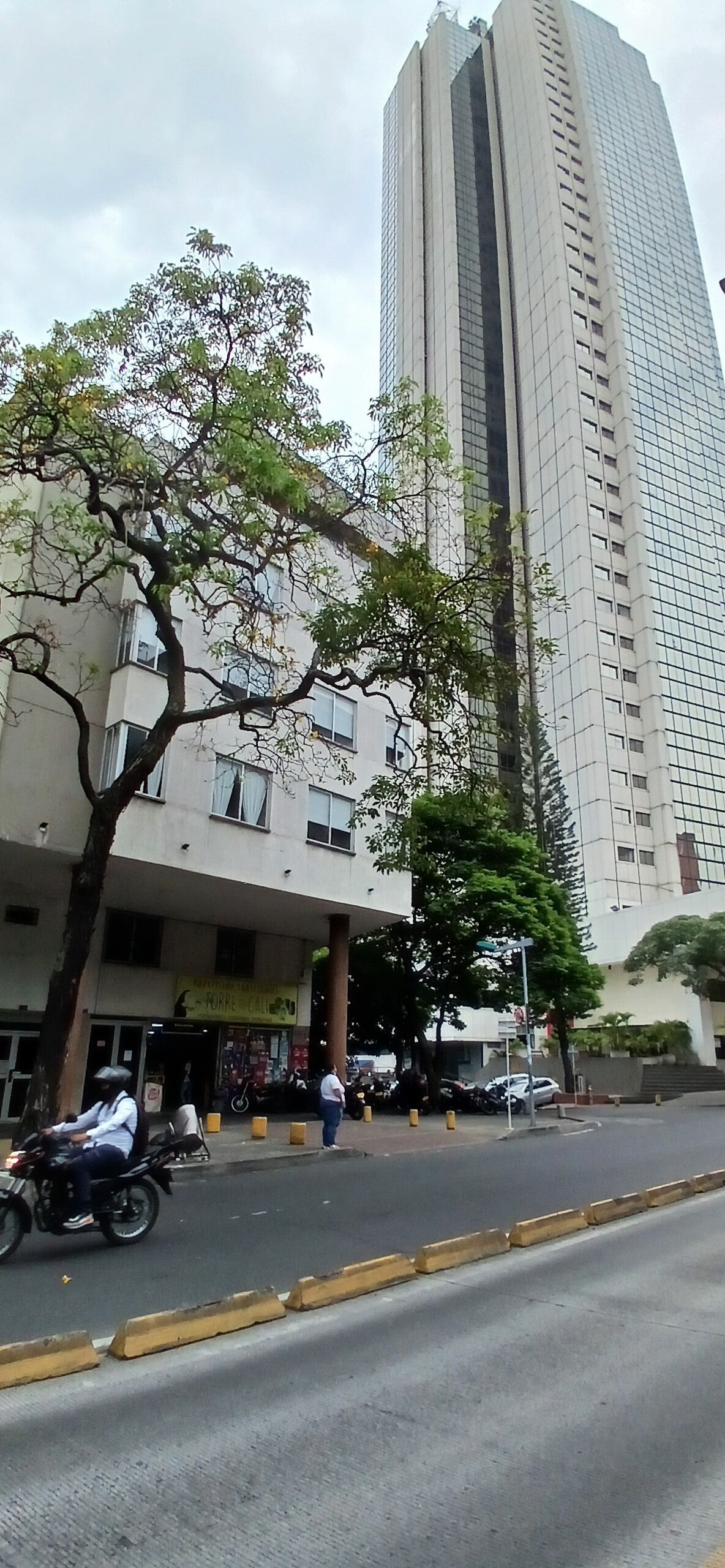 Un edificio alto de diseño moderno, un árbol en primer plano y una calle con una motocicleta.