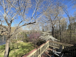 Property grounds - The Bungalow on Lake Navajo (Cherokee Village)