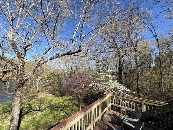 Property grounds - The Bungalow on Lake Navajo (Cherokee Village)