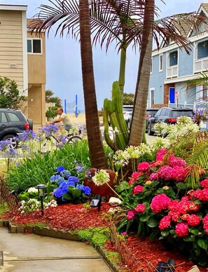 A residential area with a garden featuring various flowers and a cactus.