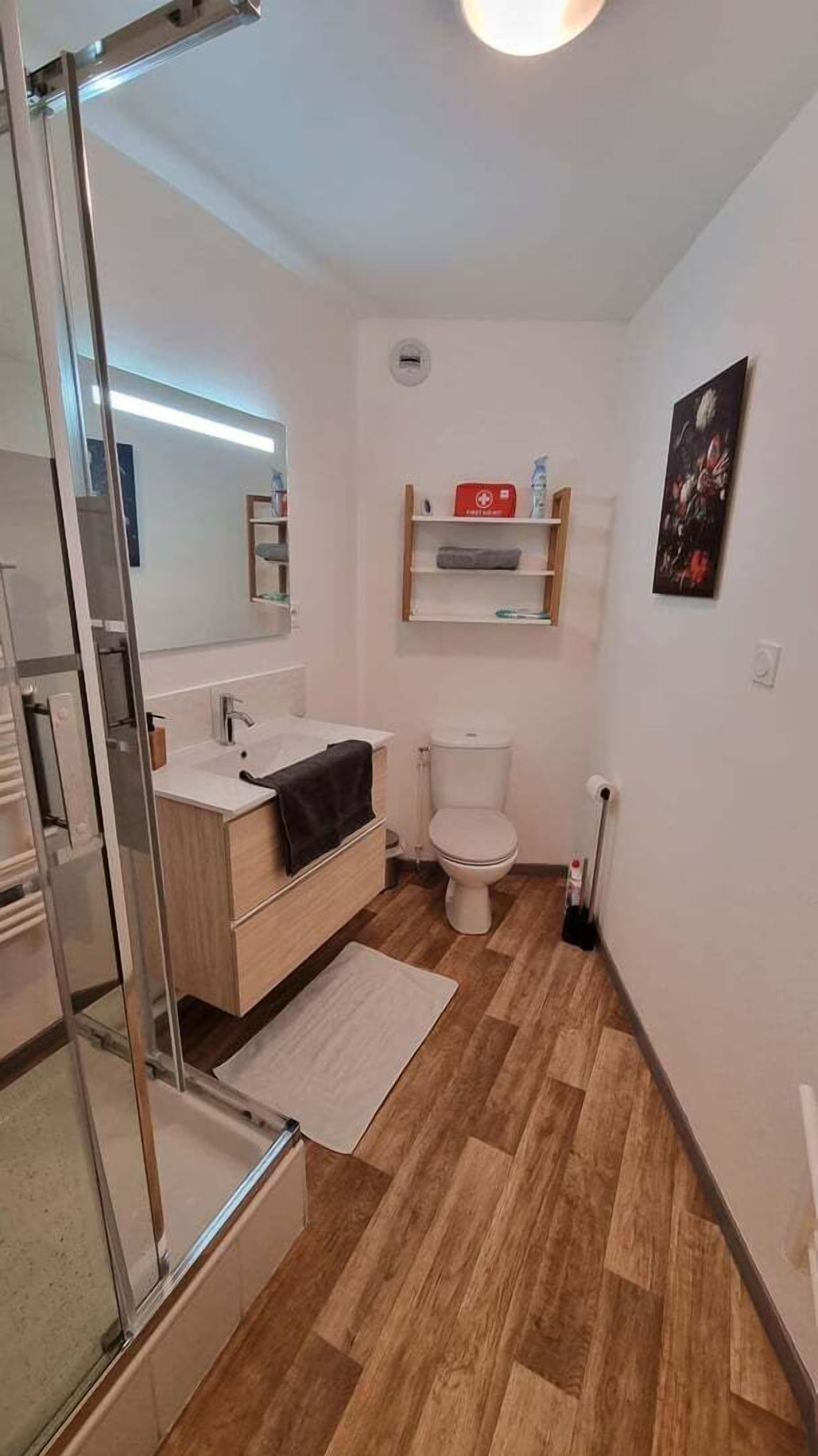 Shower, hair dryer, towels