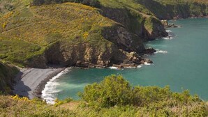 Un paysage côtier avec une plage, des falaises et une vue sur la mer.