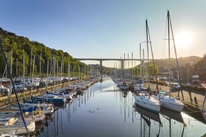 Unclassified image, 2 of 19, button