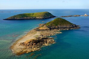 Oklassificerad bild, 3 av 21, knapp