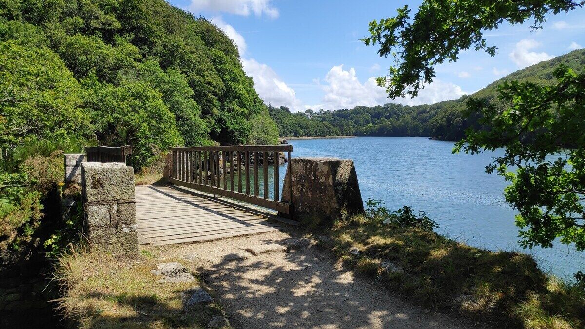 A wooden bridge leading to a body of water, surrounded by lush greenery and hills.