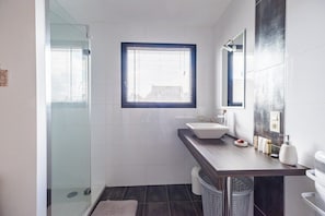 Shower, hair dryer, towels