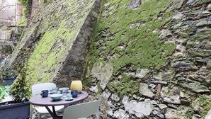 A table set with cups and bowls against a moss-covered stone wall. - Loft Garibaldi by Wonderful Italy (Genova)