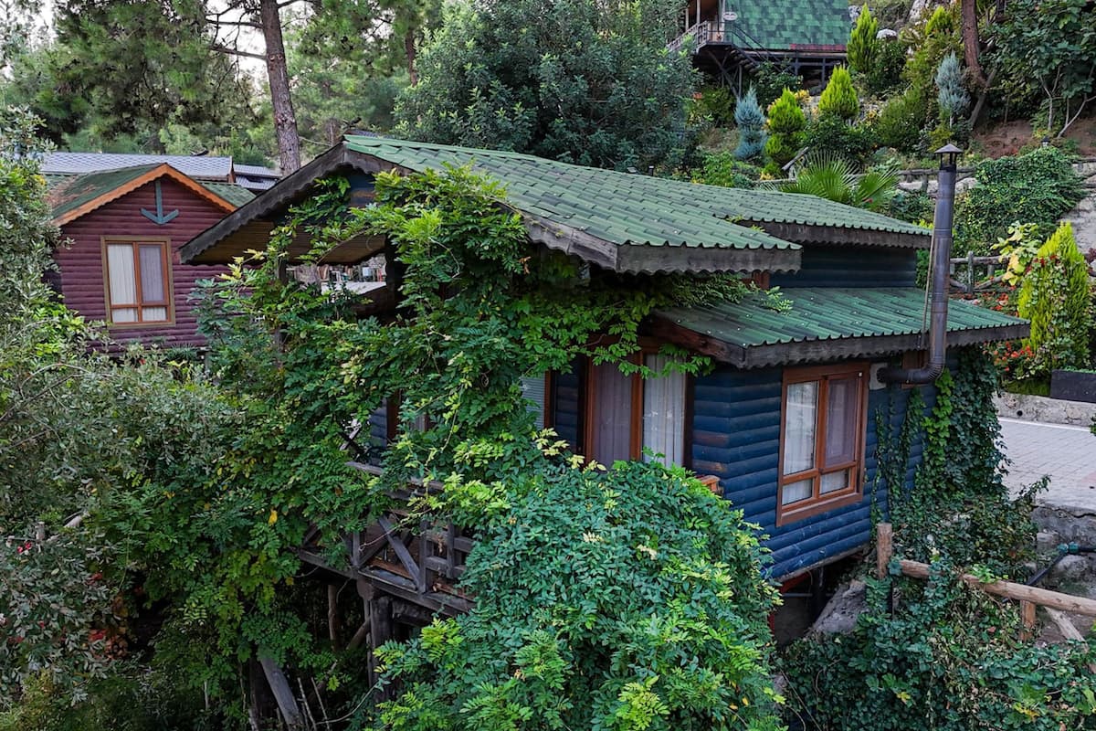 A cabin with a green roof, surrounded by dense greenery and trees.