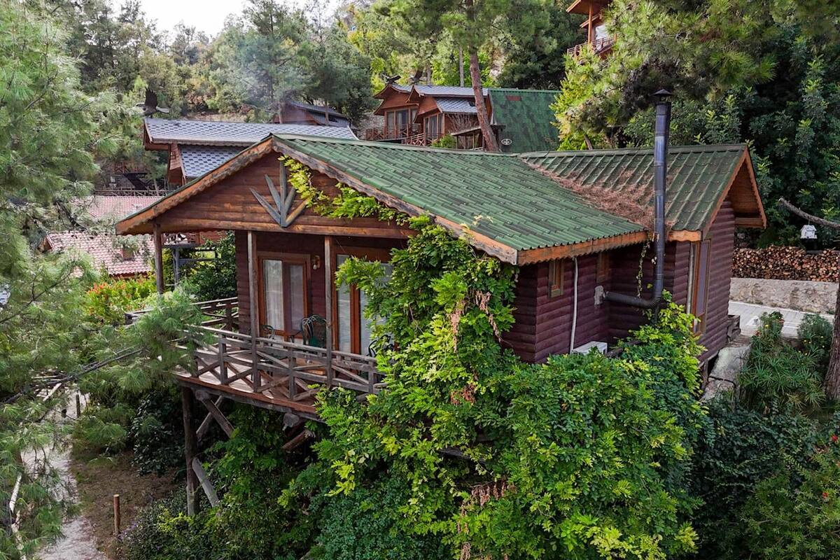 A rustic cabin with a wooden deck and a green roof, surrounded by dense greenery.