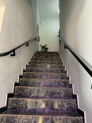 A staircase with marble steps and black handrails, leading to a landing with a plant.