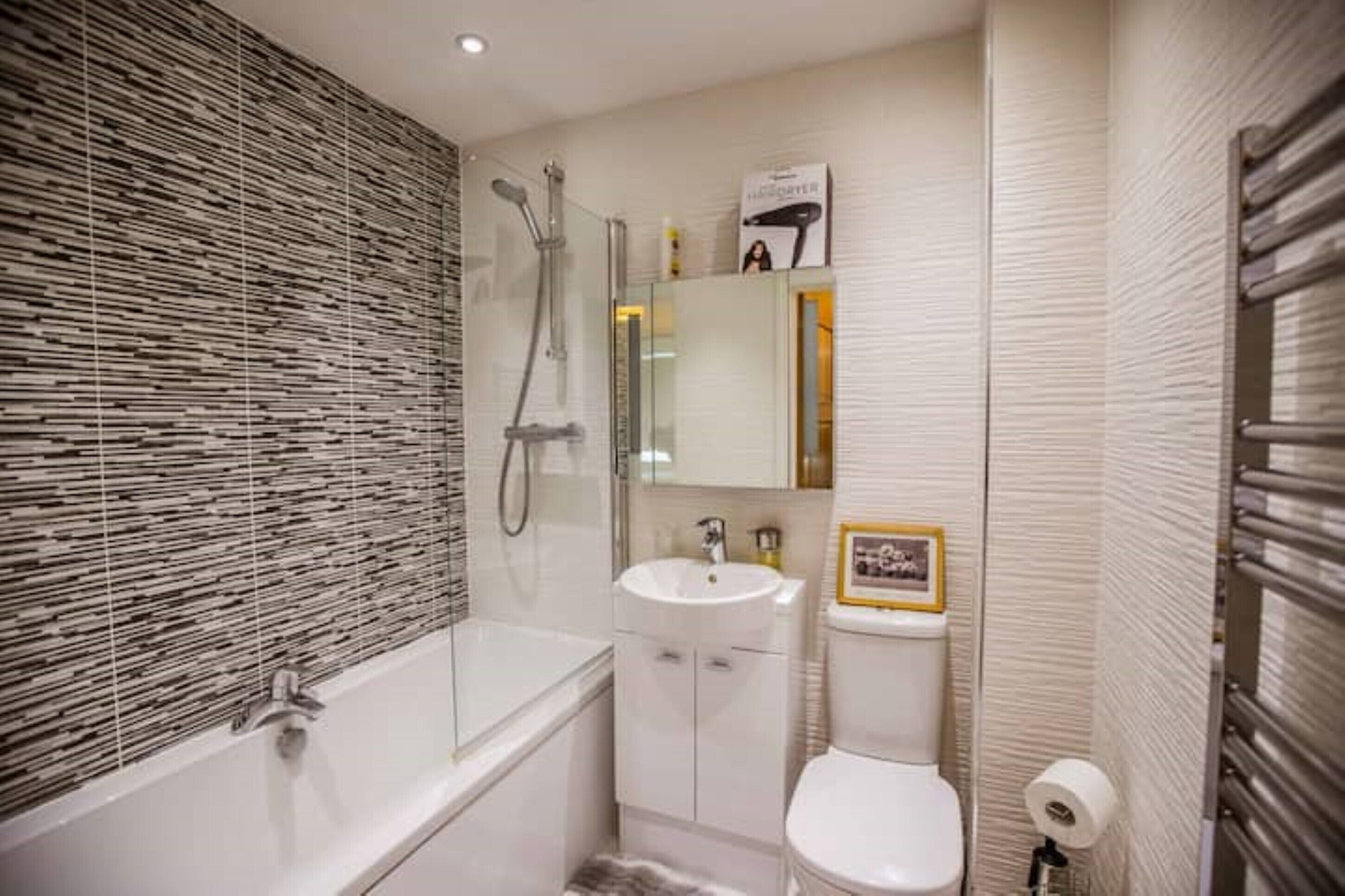 Hair dryer, towels, soap, toilet paper