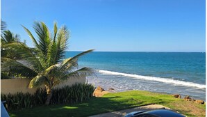 Vista sulla costa con un'auto parcheggiata, palme e un'area verde che conduce alla spiaggia.