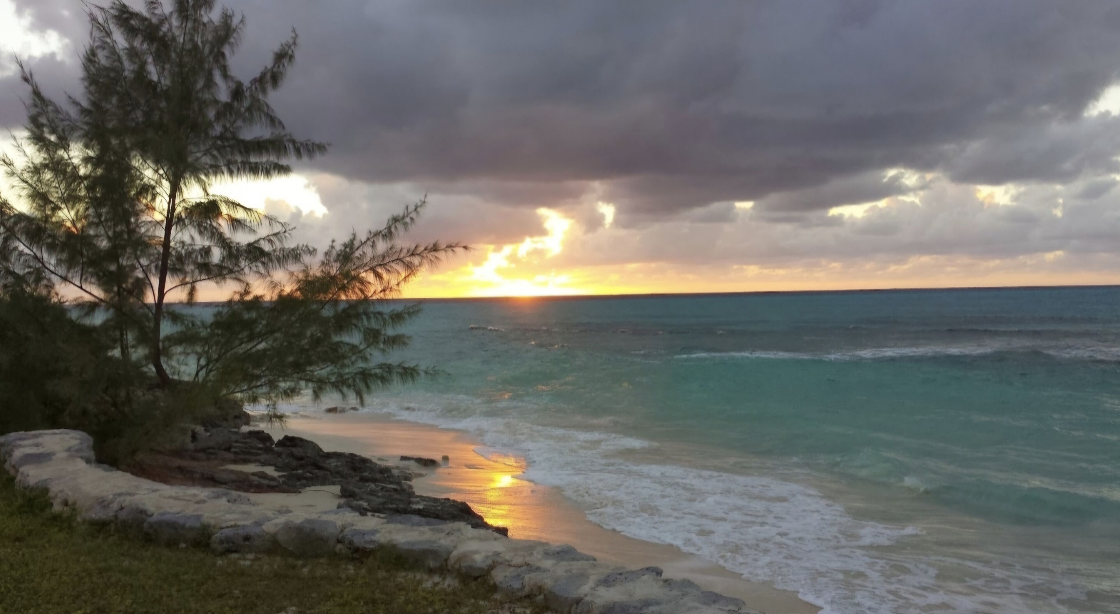 A beach with a rocky shoreline, a tree, and the ocean under a cloudy sky.