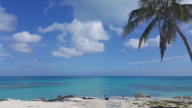 A beach with clear turquoise water, a palm tree, and a distant ship on the horizon.