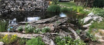 Cabin #2 - Backyard Bunkhouse