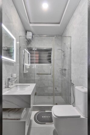 Regadera, secadora de cabello, bidet, toallas 