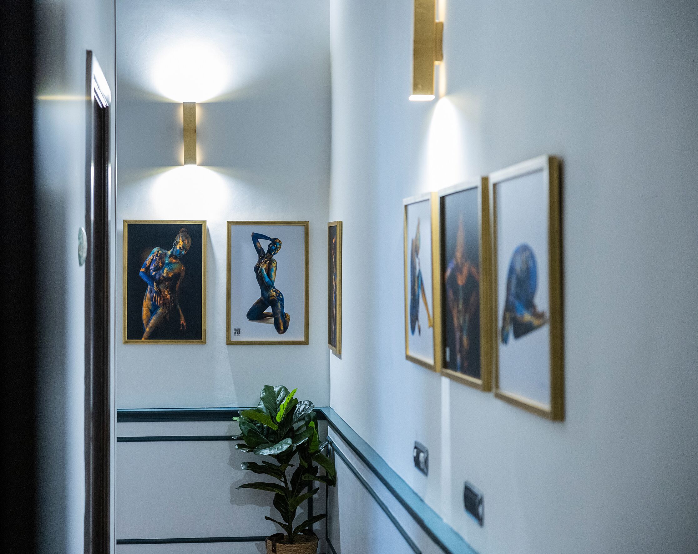 A hallway with framed artworks on the walls, a potted plant, and a light fixture.