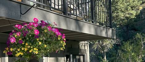 DĂ©tail de lâextĂ©rieur